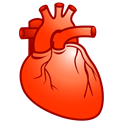 Heart, Cardiology Black icon