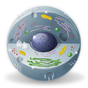 Biology Black icon