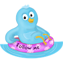 summer, pool, bird, twitter SkyBlue icon