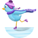 bird, skate, twitter Black icon