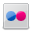 flickr Icon