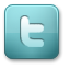 twitter CadetBlue icon