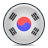 flag, Korea Silver icon