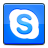 Skype, Social DodgerBlue icon