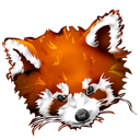 panda, roux, Firefox, Fox, Animal Black icon