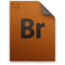genericfile, File, Br, document SaddleBrown icon