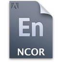 document, ncorproject, File DimGray icon