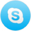 Skype LightGray icon