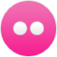 flickr Icon