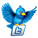twitter, bird Black icon