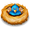 twitter, birds, nest Black icon