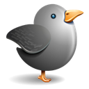 bird, gray bird, grey, twitter Black icon