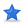 Blue, star Icon