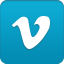 Vimeo Icon