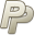 paypal Icon