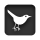 bird, twitter, square DarkSlateGray icon