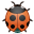 bug, ladybird, insect DarkSlateGray icon