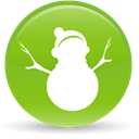 christmas, 24 YellowGreen icon