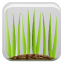 grass, button, 23 Icon