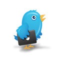 bird, twitter Black icon