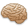 Brain Tan icon