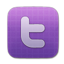 twitter SlateBlue icon