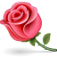 nature, Flower, rose, lilly flower, plant Icon