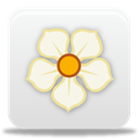 magnolia Gainsboro icon