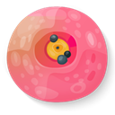 sushi LightCoral icon