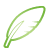 quill, green, Basic Icon