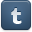 Tumblr DarkSlateGray icon