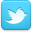 twitter MediumTurquoise icon