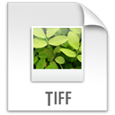 Tiff, File, z Icon