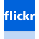 flickr, Mirror DodgerBlue icon