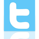 twitter, Mirror LightSkyBlue icon