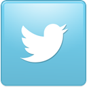 bird, twitter, square, new SkyBlue icon