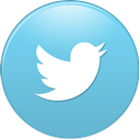 new, twitter, bird SkyBlue icon