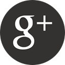 Googleplus DarkSlateGray icon