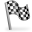 flag, Checkered Icon
