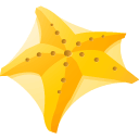 sea, y, star Gold icon