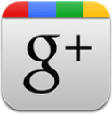 google, plus Silver icon