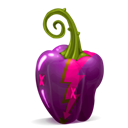 purple, pepper Black icon