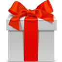 gift Silver icon