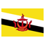 Brunei, programmer Gold icon