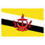 Brunei, programmer Icon