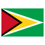 Guyana SeaGreen icon