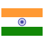 India Icon