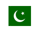 Pakistan DarkGreen icon