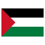 Palestine ForestGreen icon