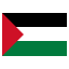 Palestine Icon